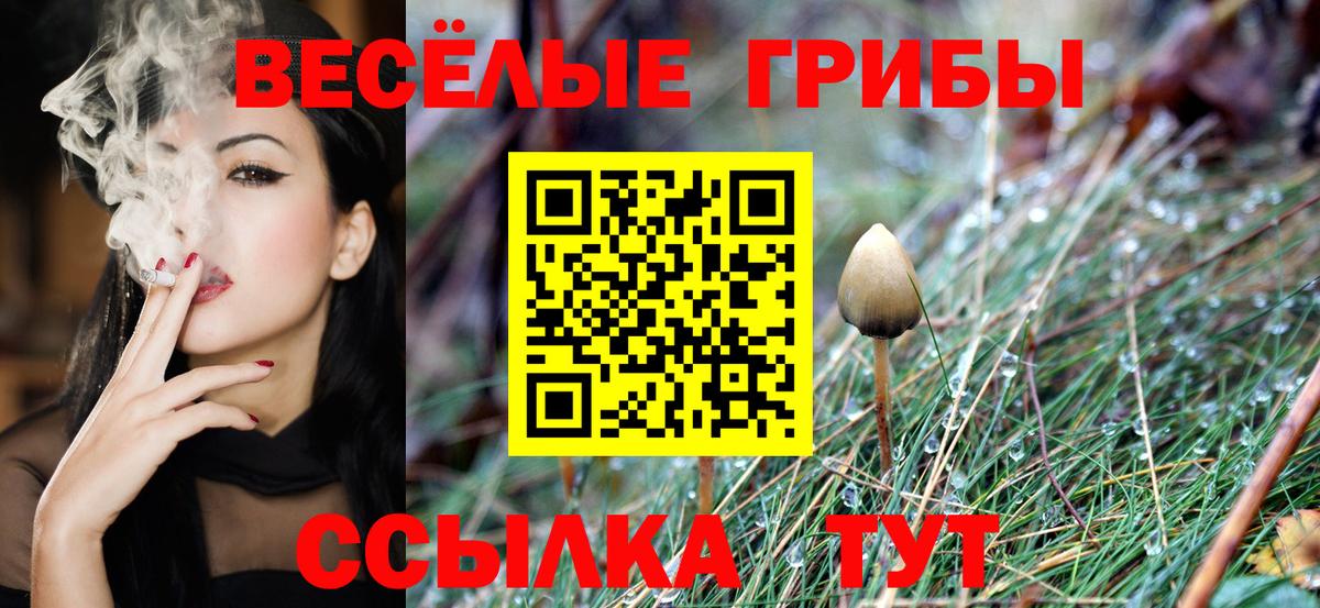 Псилоцибиновые грибы MAGIC MUSHROOMS  Галлюциногенные грибы Psilocybe  Егорьевск  где купить наркоту  Вход с VPN 