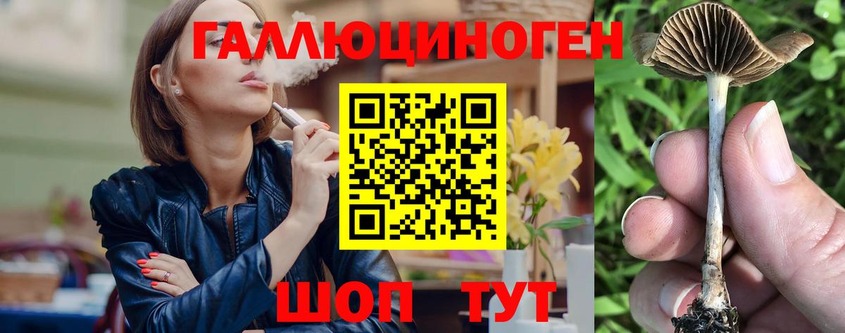 Псилоцибиновые грибы Psilocybine cubensis Егорьевск